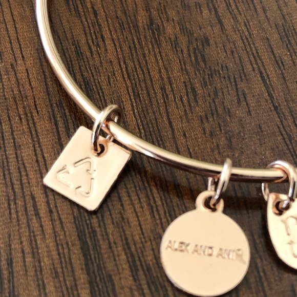 Alex and Ani Guardian Wing Charm Bracelet - Picture 8 of 12
